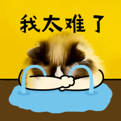 我太難了難過哭泣貓咪GIF動圖表情包.gif
