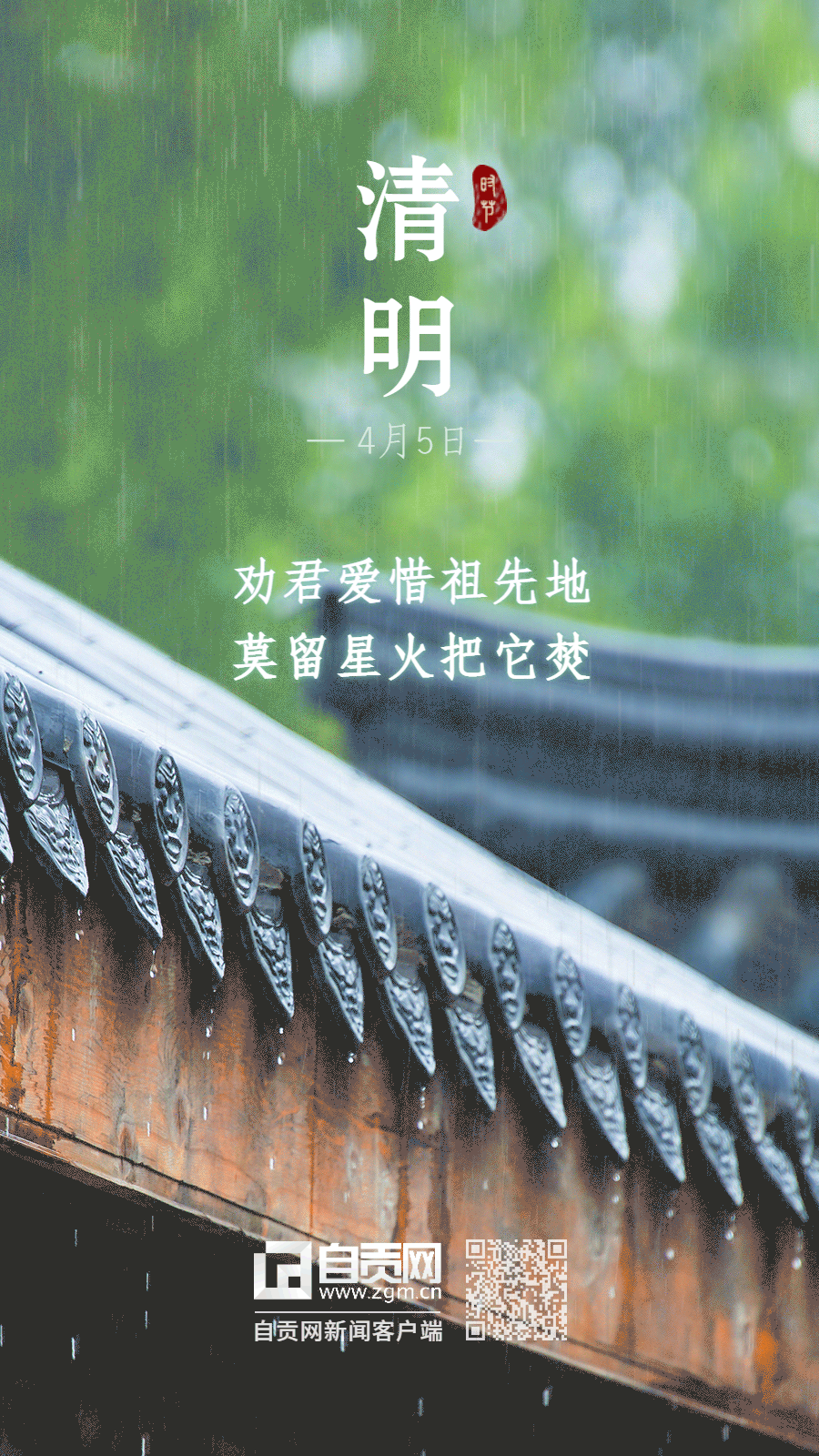 清明思念故人下雨實景動態(tài)手機海報.gif