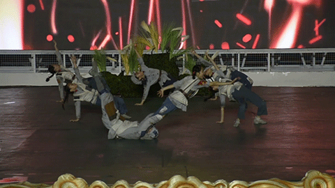 8ad00e304e664eaba95091d63ce8e493.gif