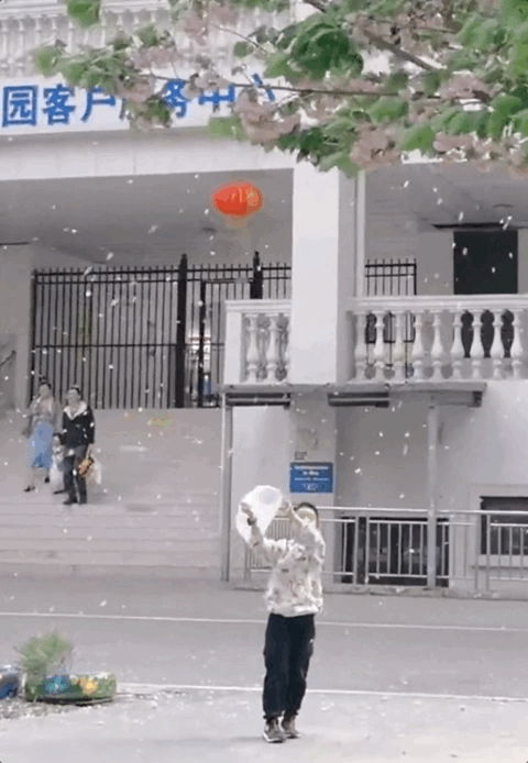微信图片_20230508092508.gif