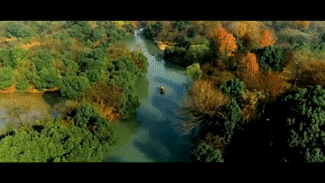 微视频｜点“绿”成“金”