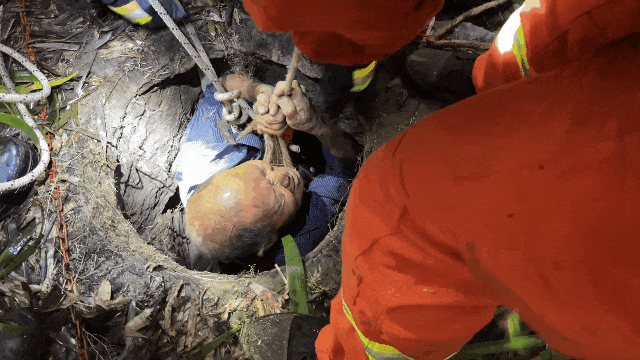 3.gif