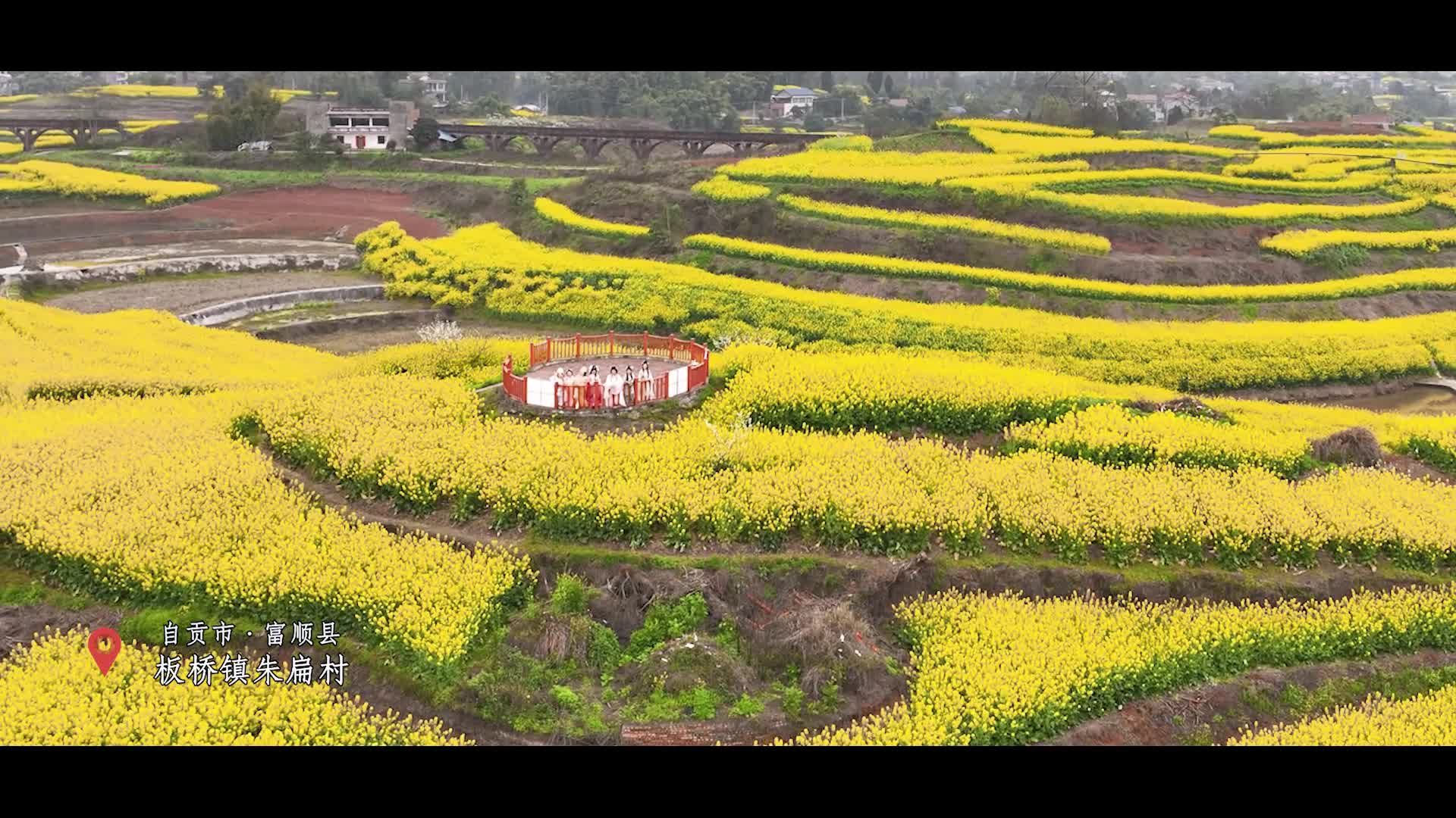 富顺县板桥镇：以花为媒发展“赏花经济”