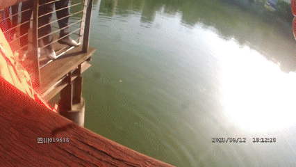 动态.gif