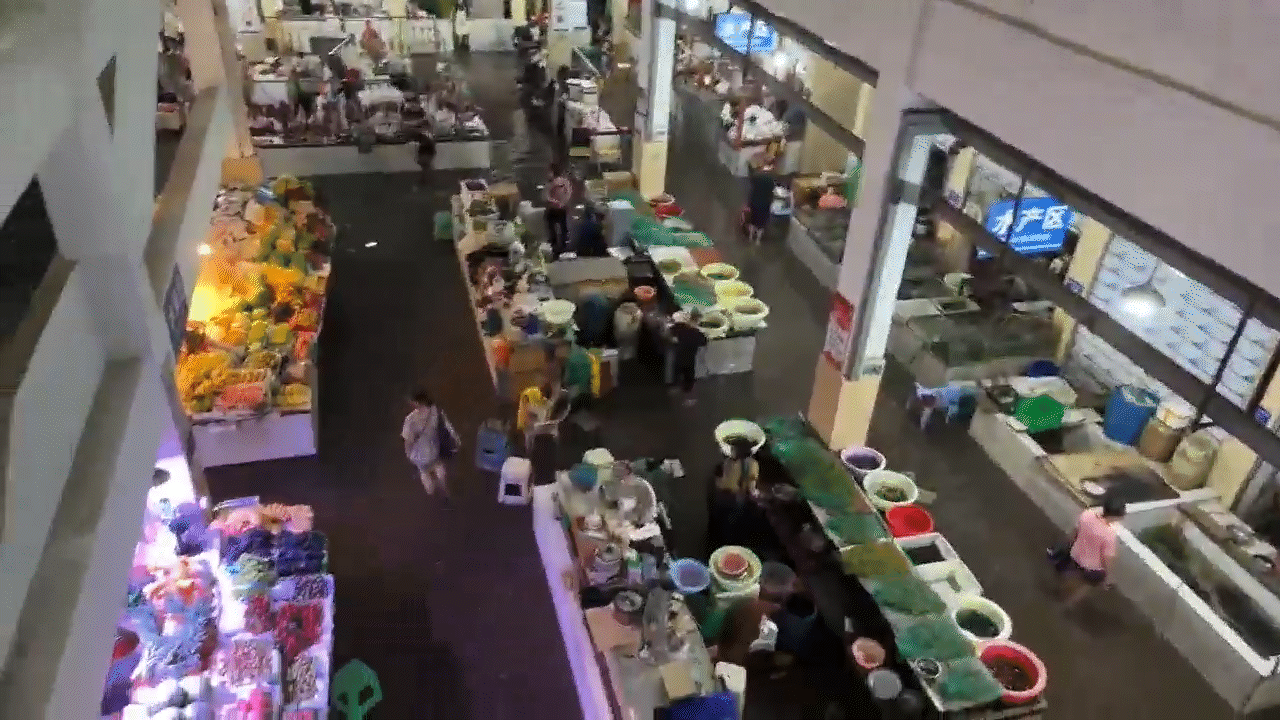 梨園菜市場倒灌畫面.gif