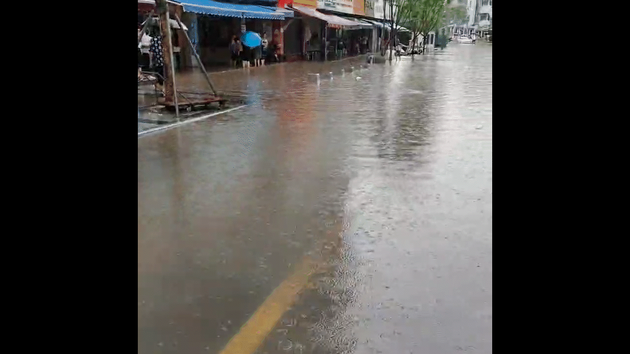 梨園菜市場倒灌畫面_1.gif