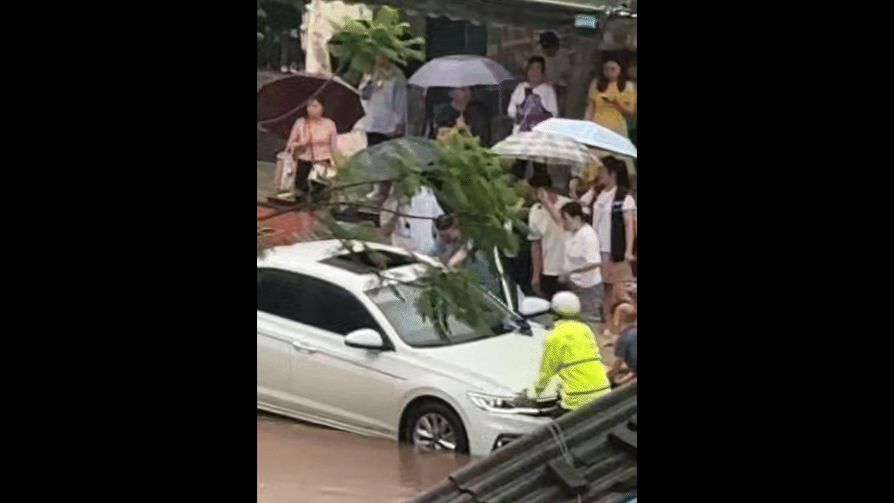 梨園菜市場倒灌畫面_2.gif
