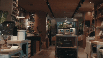 11.gif