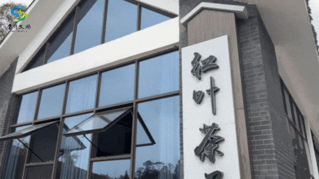 图十一.gif