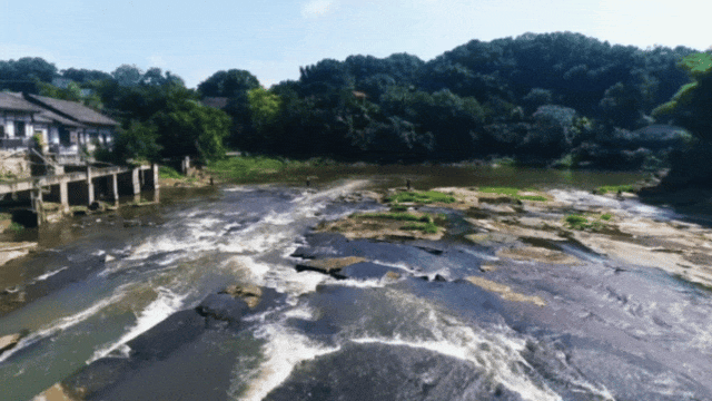 1.gif