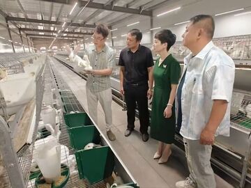 小兔子“蹦”出大产业——自贡特色产业的链式生长
