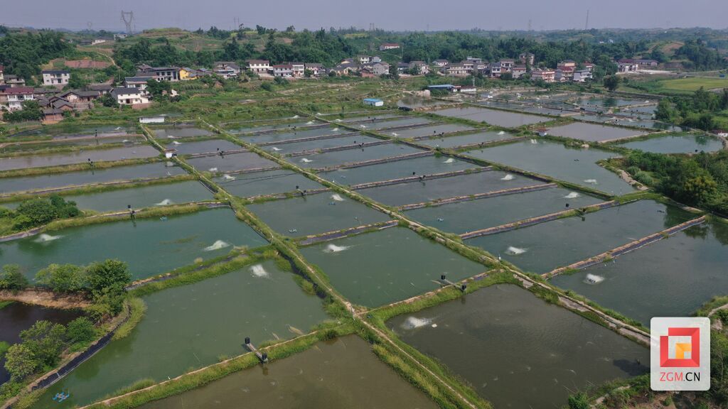 DJI_0023.jpg