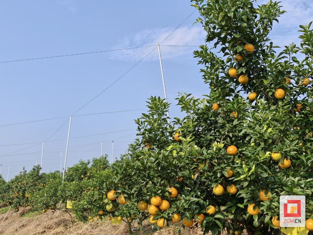 微信图片_20261013224509_1387_59.jpg