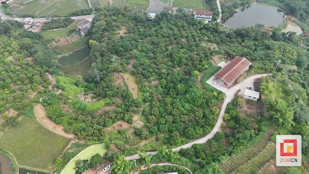 屏幕截图 2025-09-15 101334.png