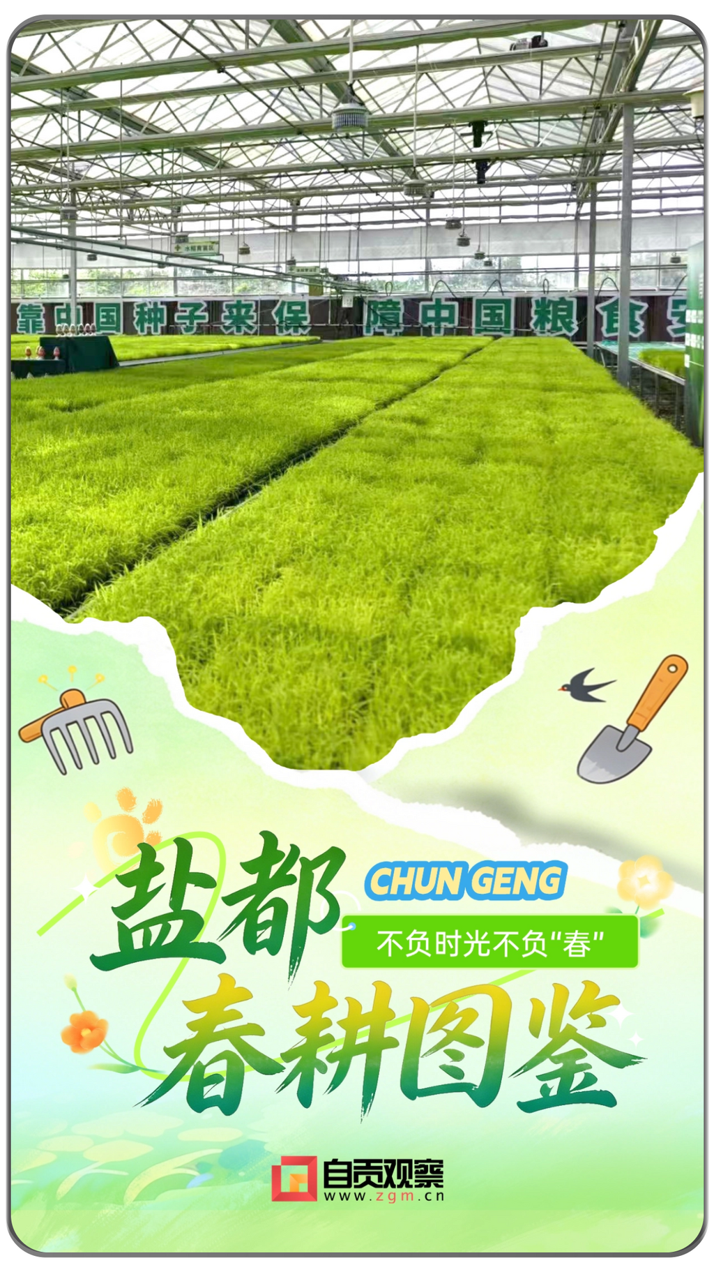 盐都春耕图鉴(1) (3).png