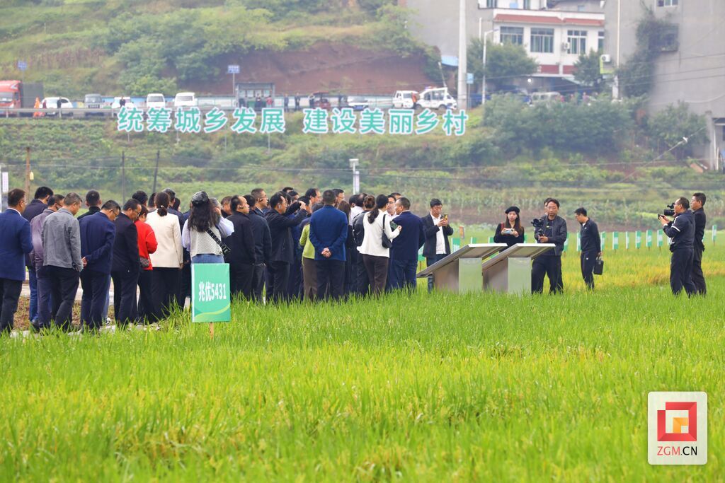 微信圖片_20231011003112.jpg