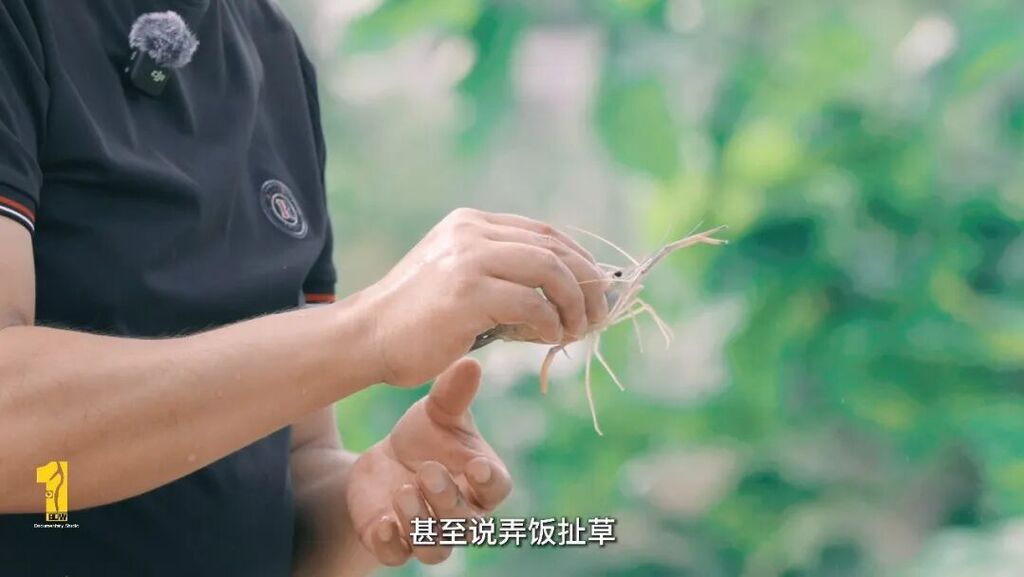 正片.mp4_20260810_223532.187.jpg