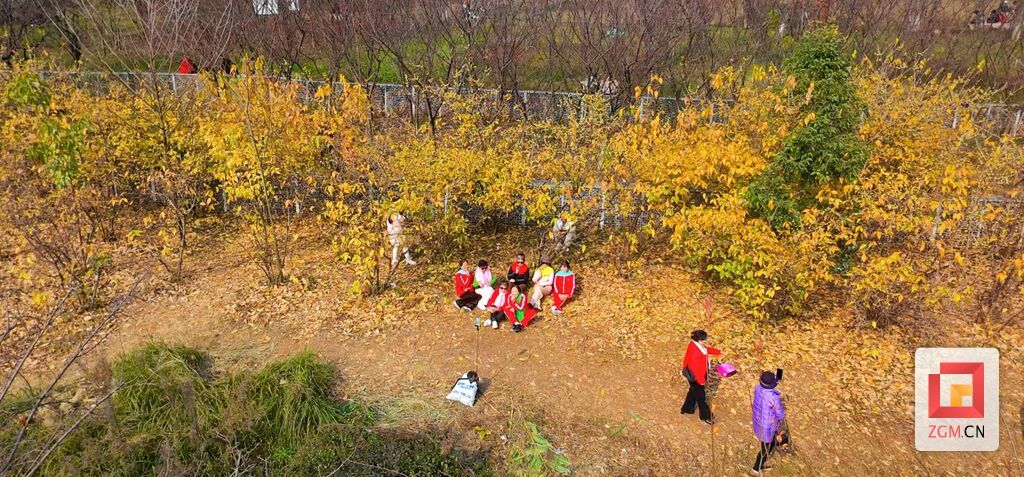 市民在盐都植物园打卡腊梅花记者 罗祥瑞摄.jpg