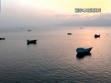 伊朗副外长：未经协调任何船只无法通过霍尔木兹海峡