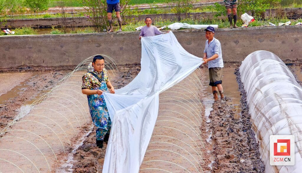 沿滩区联络镇江冲村刘杰与村民一起春耕劳作 记者 罗祥瑞 摄 (2).jpg