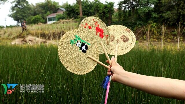 燈芯草與燈芯草所編的扇子.jpg