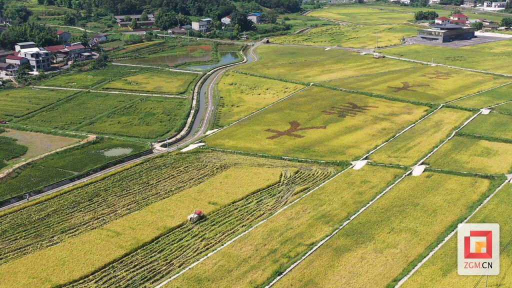 DJI_0573.MP4_20260522_155357.676.jpg