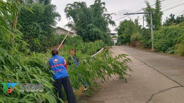网格员处理道路隐患.JPG