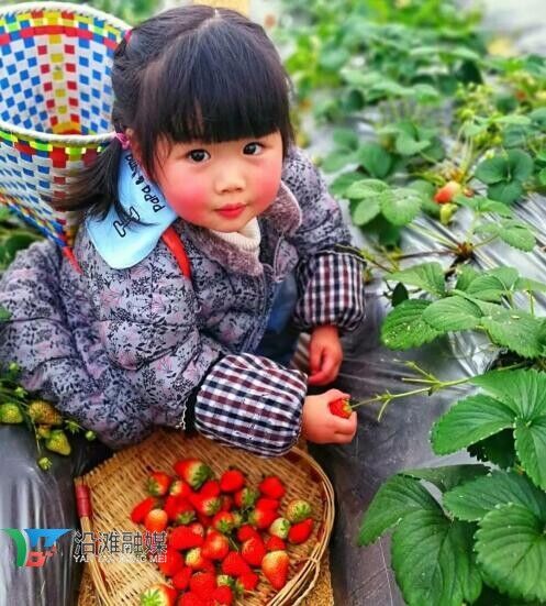 图片17.jpg