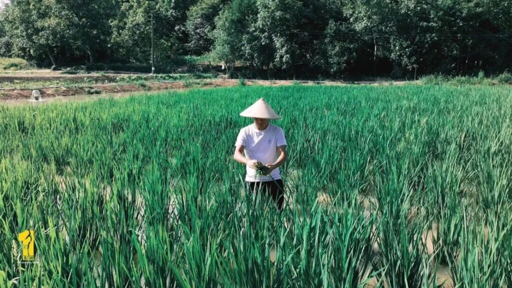 正片.mp4_20260810_223736.311.jpg