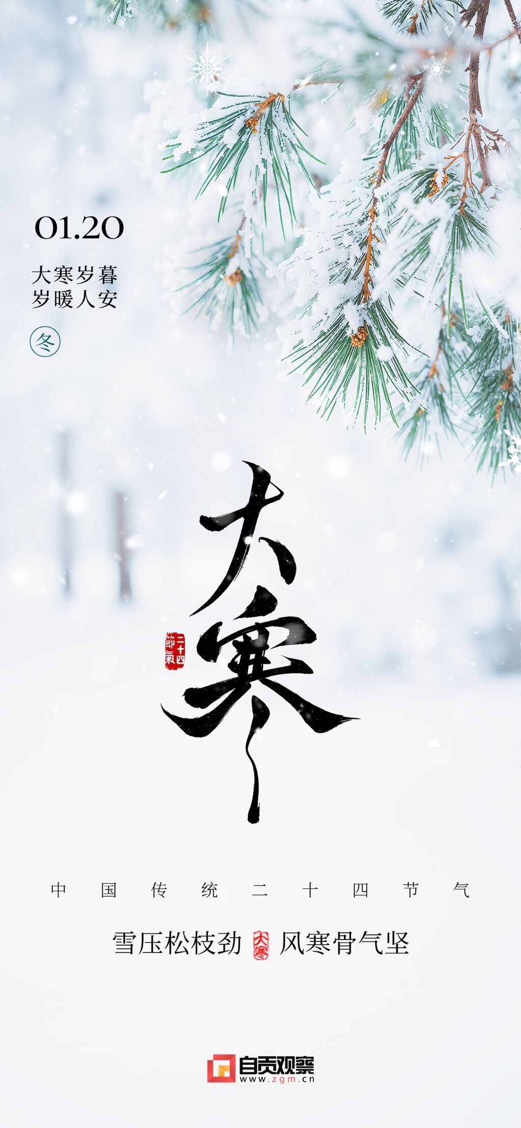 大寒节气祝福实景感积雪松枝全屏竖版海报.jpg