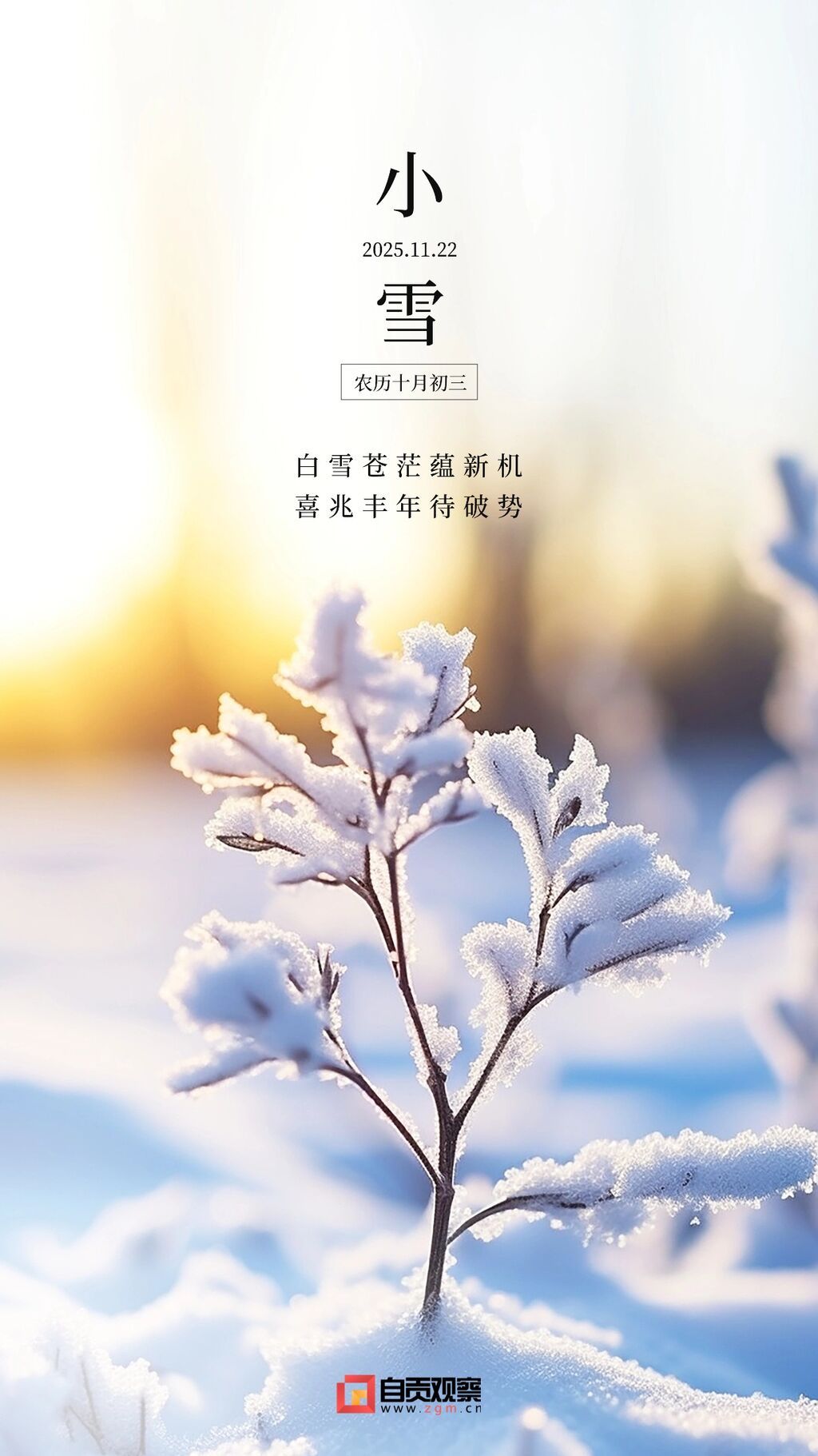 小雪金融保险节气祝福问候实景风手机海报AIGC.jpg