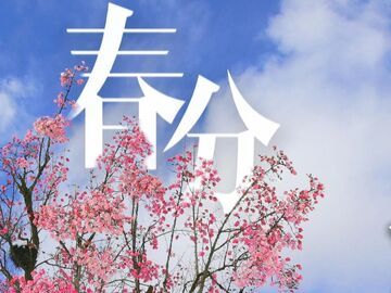 今日春分丨见雪中繁花，许春之好运