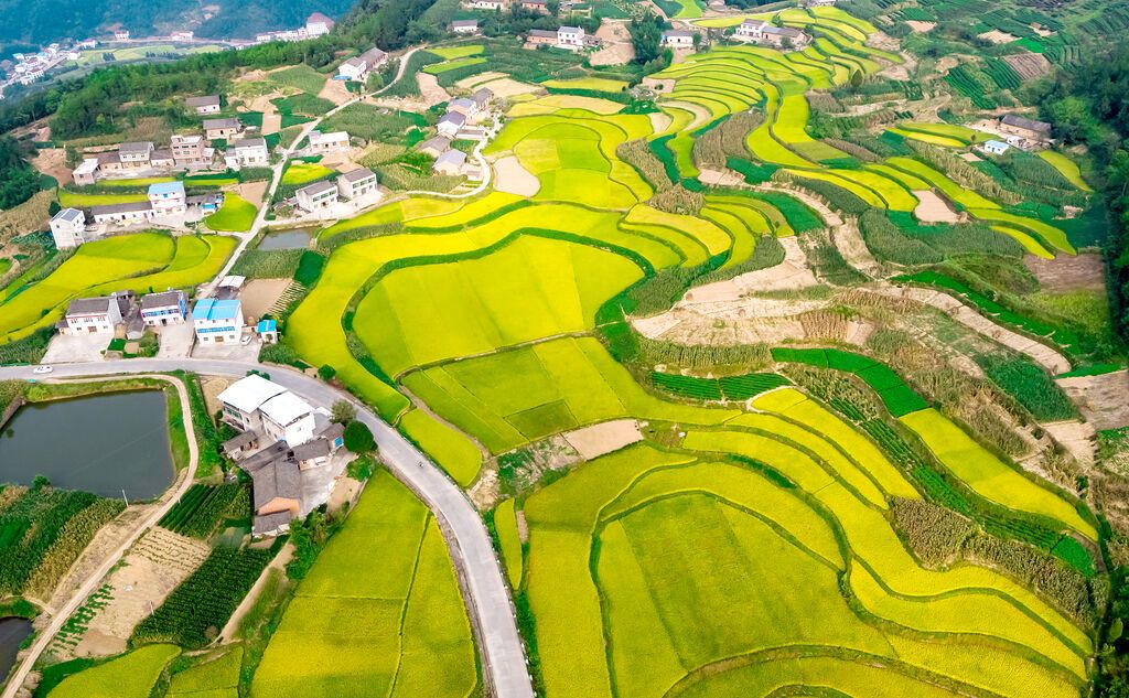 竹溪大地美如画。 图片由十堰日报社提供