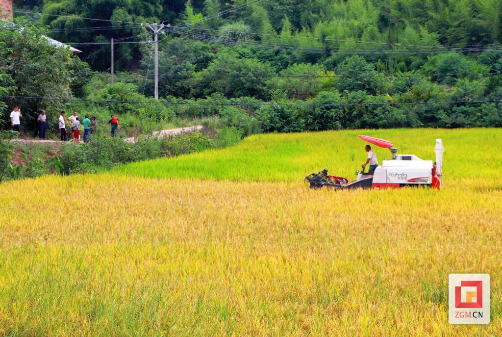 微信圖片_2025-08-21_213316_558.jpg