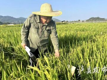 微视频丨大地粮仓的守护者：李耘