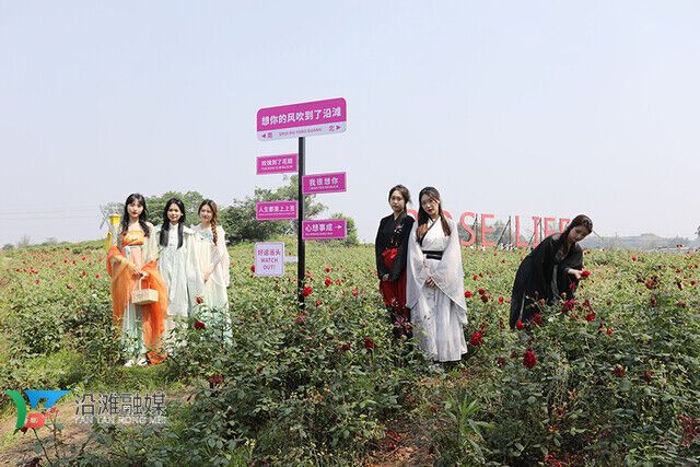 “玫好生活季”活动吸引游客打卡拍照.jpg