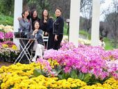 近郊赏花正当时