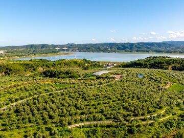 长江大保护十周年·百村蹲点调研行丨荒山捧绿金  渔村泛新韵