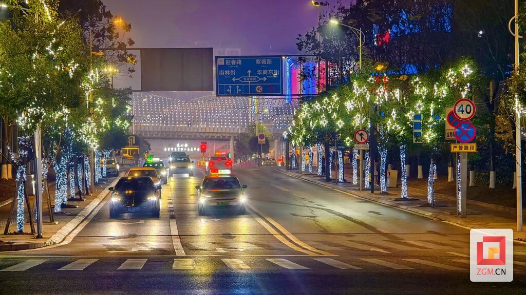 华商南街道路两旁流光溢彩 记者罗祥瑞摄.jpg
