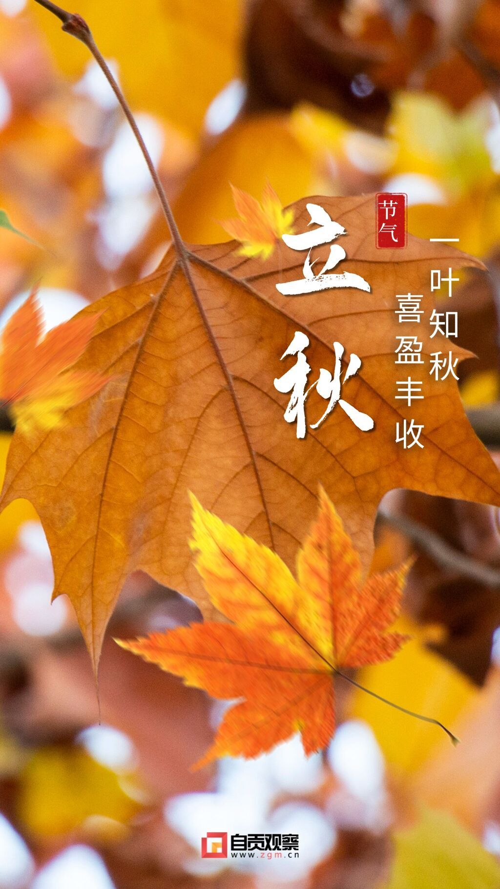 稿定設(shè)計(jì)-2.jpg