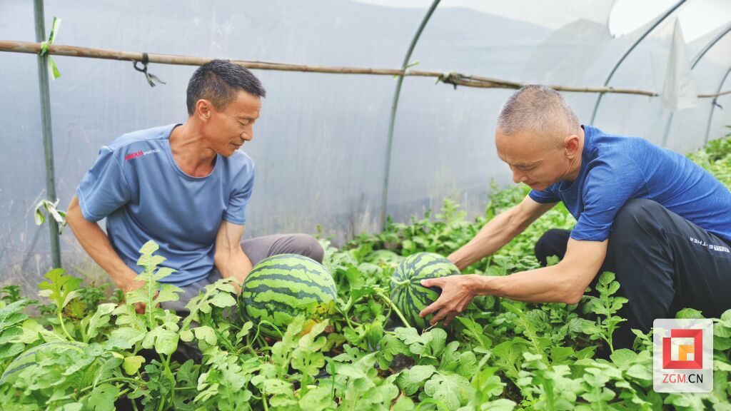 微信图片_20260615094651_618_29.jpg