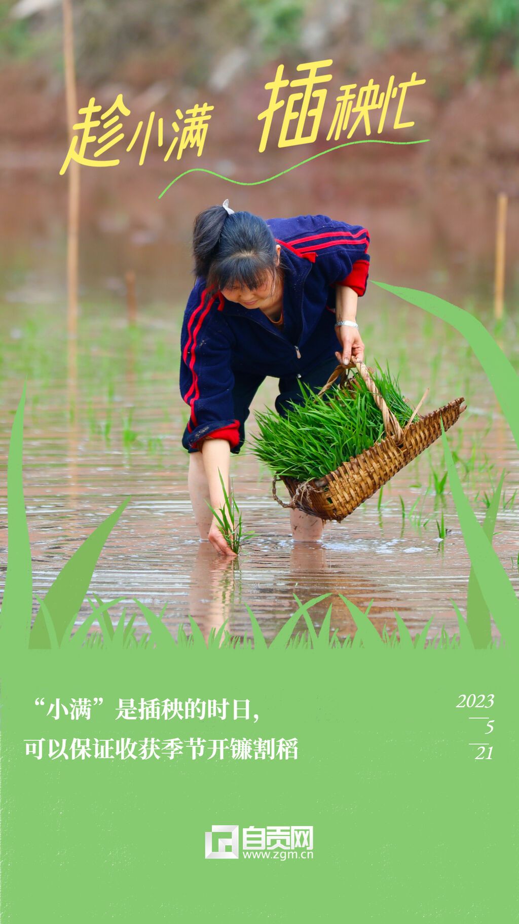 旅游出行小滿節(jié)氣祝福實(shí)景豎版海報(bào).jpg