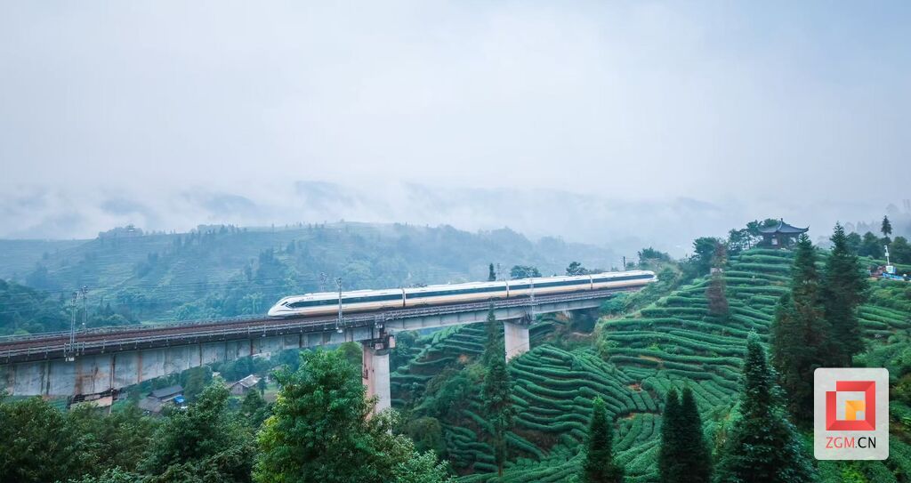 高铁驶过茶山.jpg