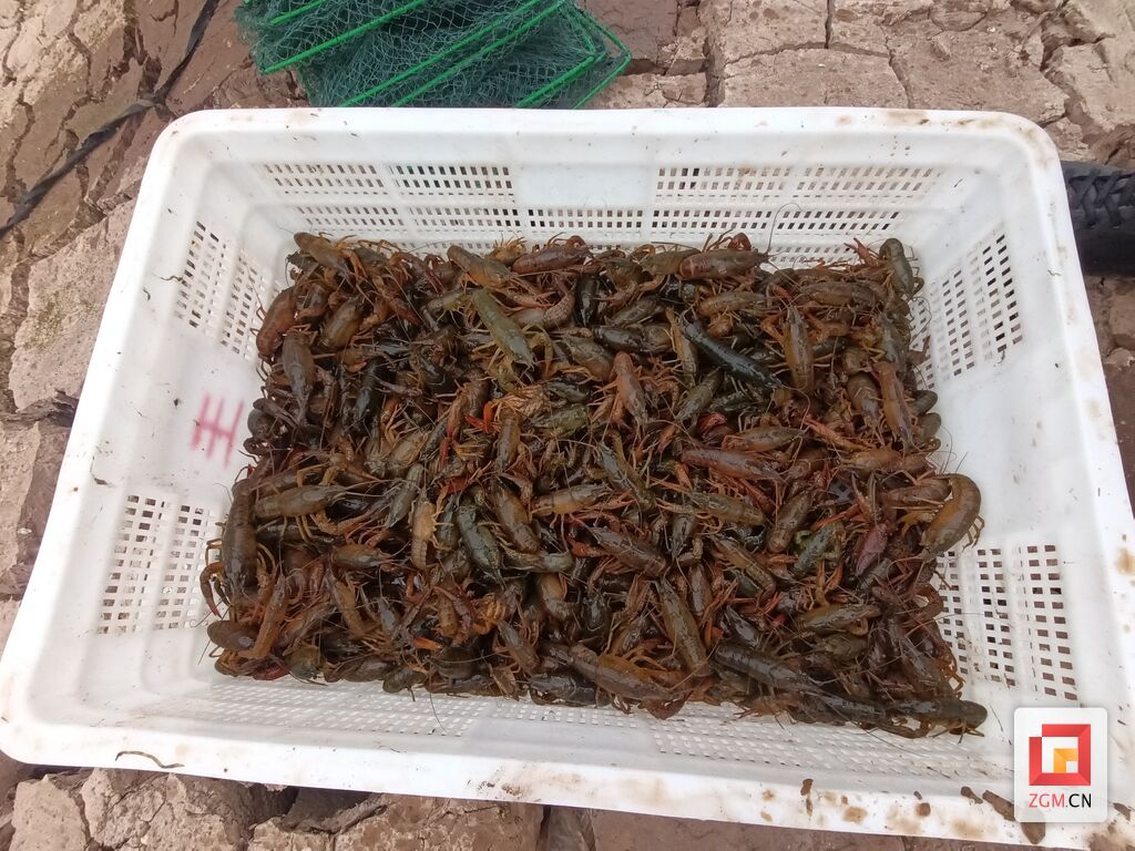 微信圖片_20240315113109.jpg