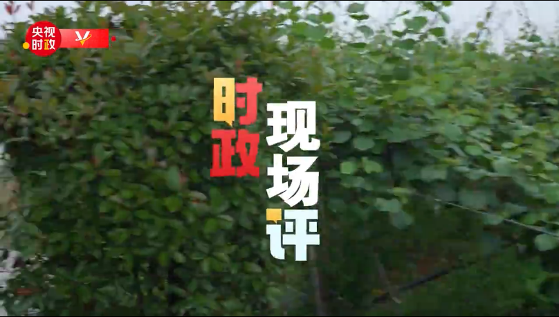 点击图片观看视频