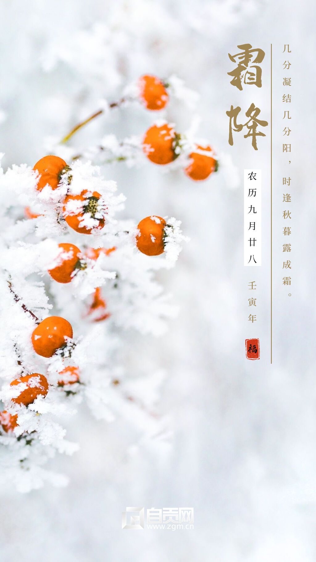 霜降海報 (2).jpg