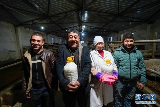 在新疆和田皮山县阔什塔格镇加依纳古特村，布威萨热·阿卜杜杰力（右二）等展示收获的驴奶（2月4日摄）。新华社记者 赵戈 摄