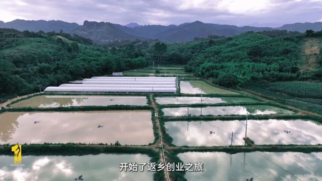 正片.mp4_20260810_223137.934.jpg