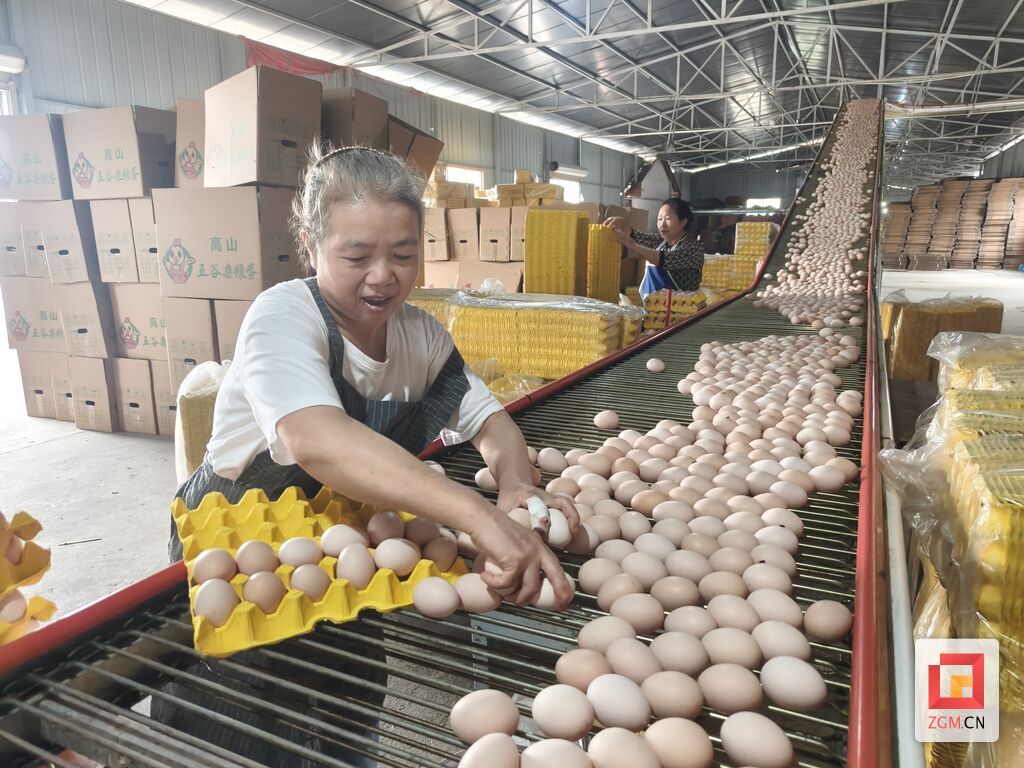 微信图片_20260909203008_871_172.jpg