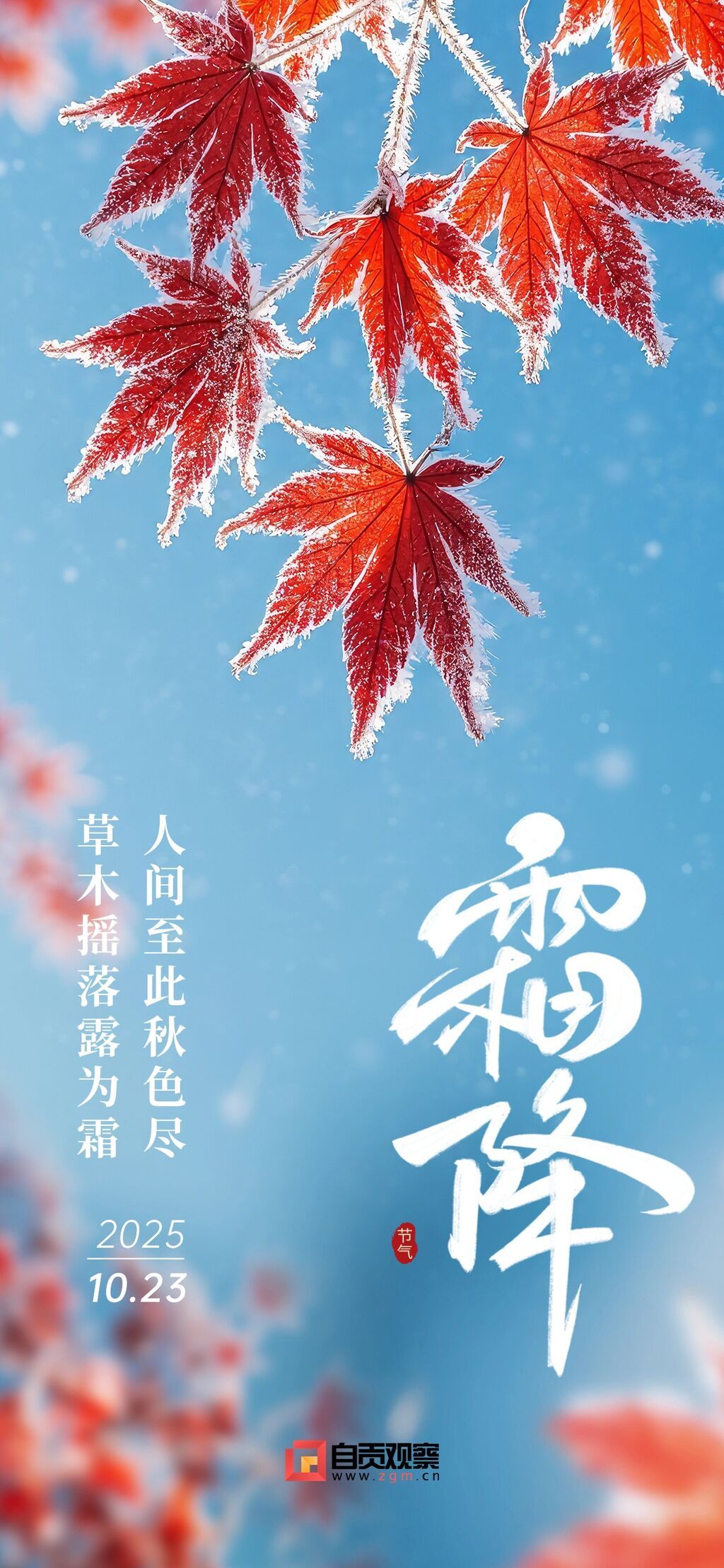 霜降节气祝福实景感全屏竖版海报AIGC(1) (1).jpg